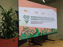 photo 2025 11 04 20 14 55